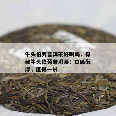 牛头伯劳普洱茶好喝吗，探秘牛头伯劳普洱茶：口感醇厚，值得一试