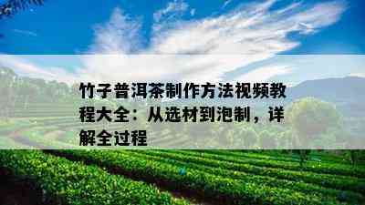 竹子普洱茶制作方法视频教程大全：从选材到泡制，详解全过程