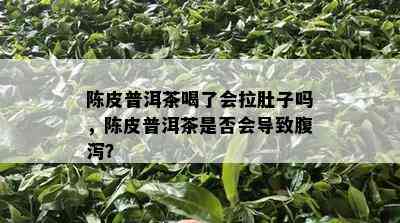 陈皮普洱茶喝了会拉肚子吗，陈皮普洱茶是否会导致腹泻？