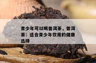 青少年可以喝普洱茶，普洱茶：适合青少年饮用的健康选择