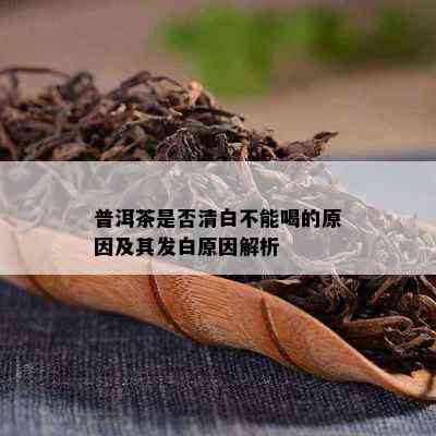 普洱茶是否清白不能喝的原因及其发白原因解析