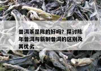 普洱茶是陈的好吗？探讨陈年普洱与新制普洱的区别及其优劣