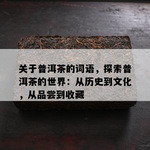 关于普洱茶的词语，探索普洱茶的世界：从历史到文化，从品尝到收藏