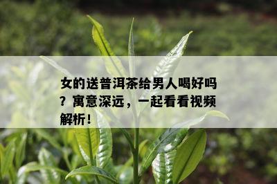 女的送普洱茶给男人喝好吗？寓意深远，一起看看视频解析！