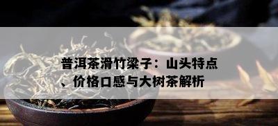 普洱茶滑竹梁子：山头特点、价格口感与大树茶解析