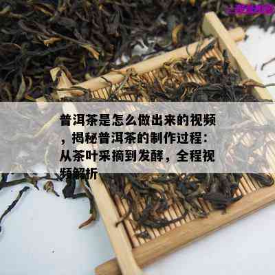 普洱茶是怎么做出来的视频，揭秘普洱茶的制作过程：从茶叶采摘到发酵，全程视频解析