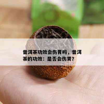 普洱茶功效会伤胃吗，普洱茶的功效：是否会伤胃？