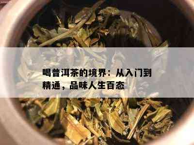 喝普洱茶的境界：从入门到精通，品味人生百态