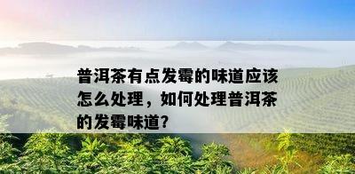 普洱茶有点发霉的味道应该怎么处理，如何处理普洱茶的发霉味道？