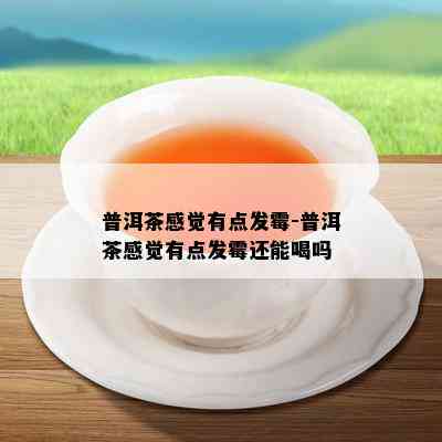 普洱茶感觉有点发霉-普洱茶感觉有点发霉还能喝吗