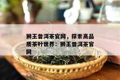 狮王普洱茶官网，探索高品质茶叶世界：狮王普洱茶官网