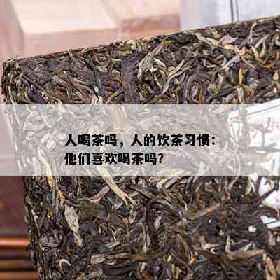 人喝茶吗，人的饮茶习惯：他们喜欢喝茶吗？