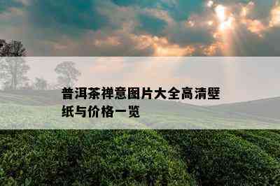 普洱茶禅意图片大全高清壁纸与价格一览