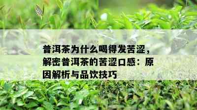 普洱茶为什么喝得发苦涩，解密普洱茶的苦涩口感：原因解析与品饮技巧