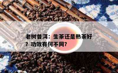 老树普洱：生茶还是熟茶好？功效有何不同？