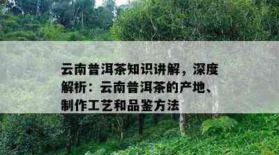 云南普洱茶知识讲解，深度解析：云南普洱茶的产地、制作工艺和品鉴方法