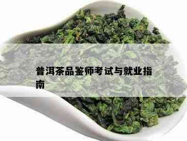 普洱茶品鉴师考试与就业指南