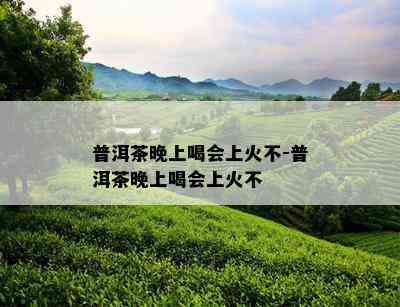 普洱茶晚上喝会上火不-普洱茶晚上喝会上火不