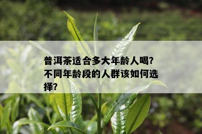 普洱茶适合多大年龄人喝？不同年龄段的人群该如何选择？