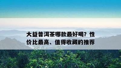 大益普洱茶哪款更好喝？性价比更高、值得收藏的推荐