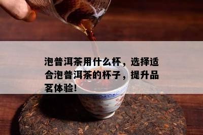 泡普洱茶用什么杯，选择适合泡普洱茶的杯子，提升品茗体验！