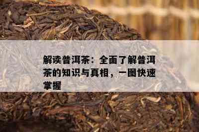 解读普洱茶：全面了解普洱茶的知识与真相，一图快速掌握