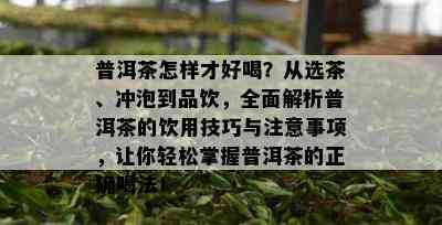 普洱茶怎样才好喝？从选茶、冲泡到品饮，全面解析普洱茶的饮用技巧与注意事项，让你轻松掌握普洱茶的正确喝法！