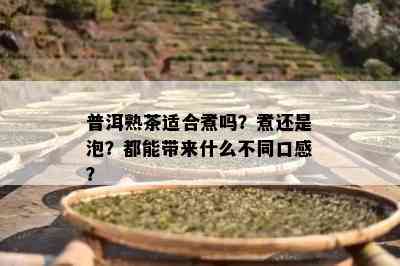 普洱熟茶适合煮吗？煮还是泡？都能带来什么不同口感？