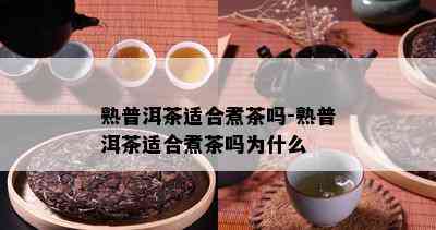 熟普洱茶适合煮茶吗-熟普洱茶适合煮茶吗为什么