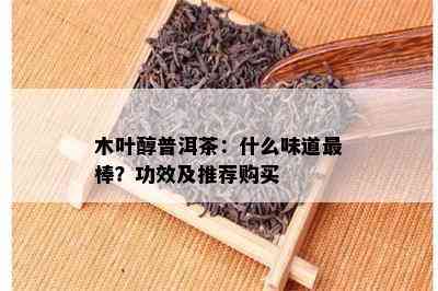 木叶醇普洱茶：什么味道最棒？功效及推荐购买