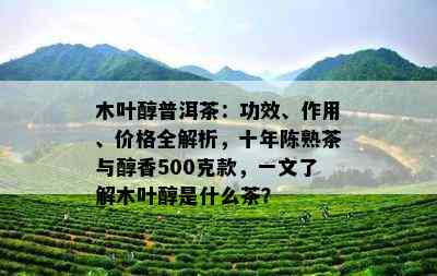 木叶醇普洱茶：功效、作用、价格全解析，十年陈熟茶与醇香500克款，一文了解木叶醇是什么茶？