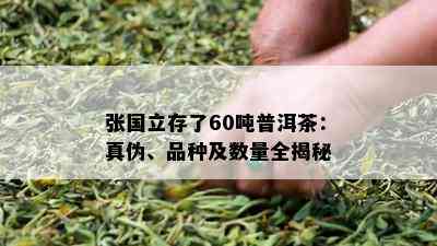 张国立存了60吨普洱茶：真伪、品种及数量全揭秘