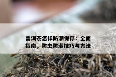 普洱茶怎样防潮保存：全面指南，防虫防潮技巧与方法