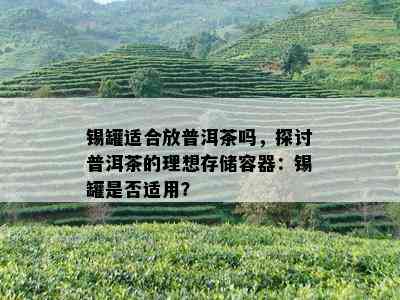 锡罐适合放普洱茶吗，探讨普洱茶的理想存储容器：锡罐是否适用？