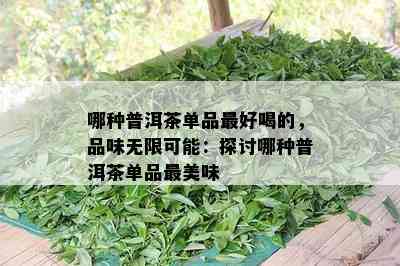 哪种普洱茶单品更好喝的，品味无限可能：探讨哪种普洱茶单品最美味