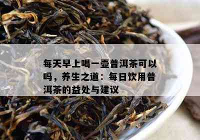 每天早上喝一壶普洱茶可以吗，养生之道：每日饮用普洱茶的益处与建议