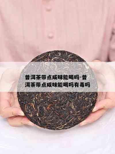 普洱茶带点咸味能喝吗-普洱茶带点咸味能喝吗有吗