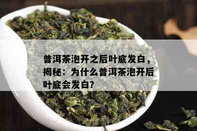 普洱茶泡开之后叶底发白，揭秘：为什么普洱茶泡开后叶底会发白？