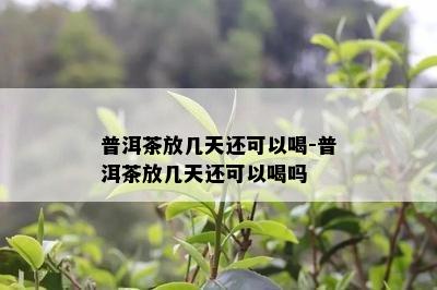 普洱茶放几天还可以喝-普洱茶放几天还可以喝吗