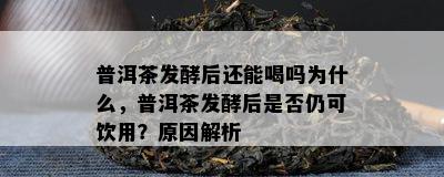 普洱茶发酵后还能喝吗为什么，普洱茶发酵后是否仍可饮用？原因解析