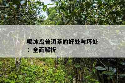 喝冰岛普洱茶的好处与坏处：全面解析