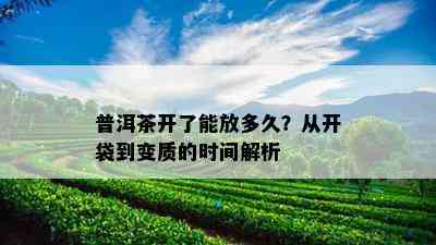 普洱茶开了能放多久？从开袋到变质的时间解析