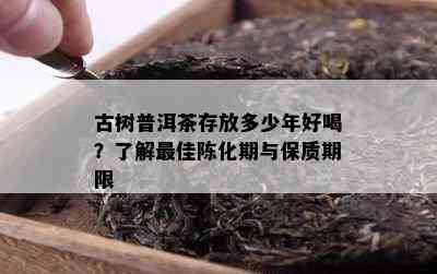 古树普洱茶存放多少年好喝？了解更佳陈化期与保质期限