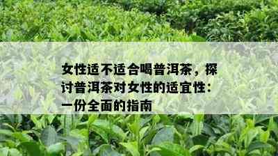 女性适不适合喝普洱茶，探讨普洱茶对女性的适宜性：一份全面的指南