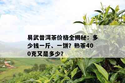 易武普洱茶价格全揭秘：多少钱一斤、一饼？熟茶400克又是多少？