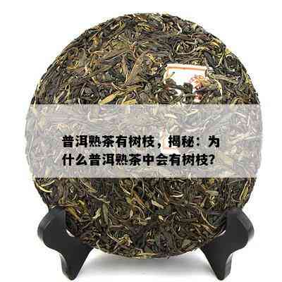 普洱熟茶有树枝，揭秘：为什么普洱熟茶中会有树枝？