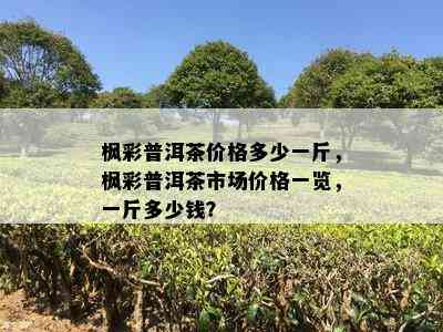 枫彩普洱茶价格多少一斤，枫彩普洱茶市场价格一览，一斤多少钱？