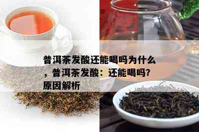 普洱茶发酸还能喝吗为什么，普洱茶发酸：还能喝吗？原因解析