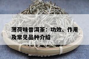 薄荷味普洱茶：功效、作用及常见品种介绍