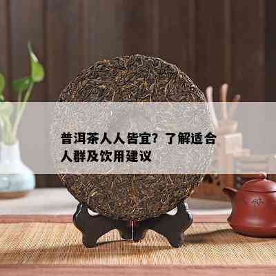 普洱茶人人皆宜？了解适合人群及饮用建议